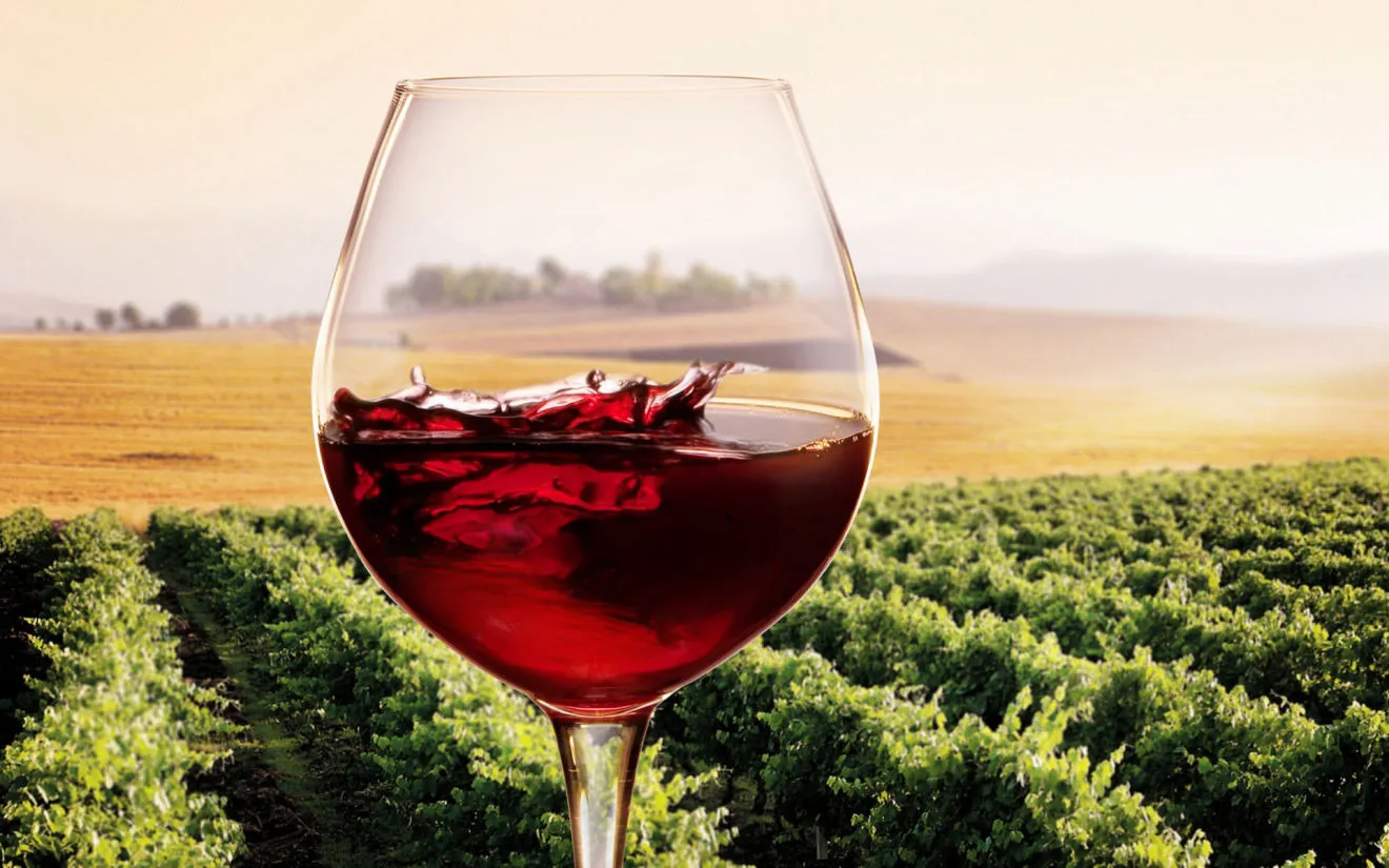 Glass of red wine in front of a vineyard
